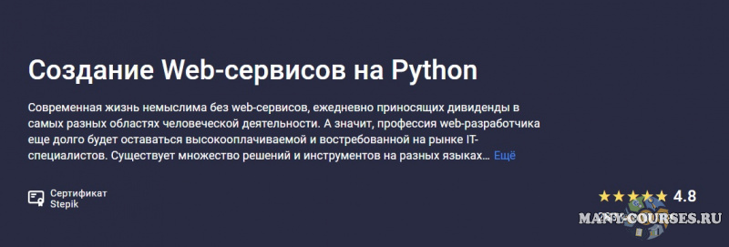 Stepik - Создание Web-сервисов на Python (2021)