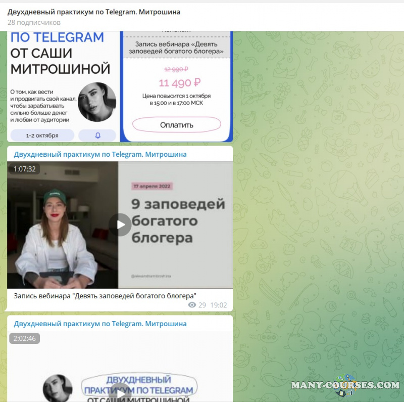 Александра Митрошина - Двухдневный практикум по телеграм. Тариф 3 (2022)