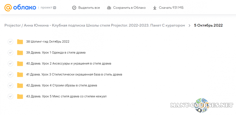 Projector / Анна Юнкина - Клубная подписка Школы стиля Projector. 2022-2023. Пакет С куратором